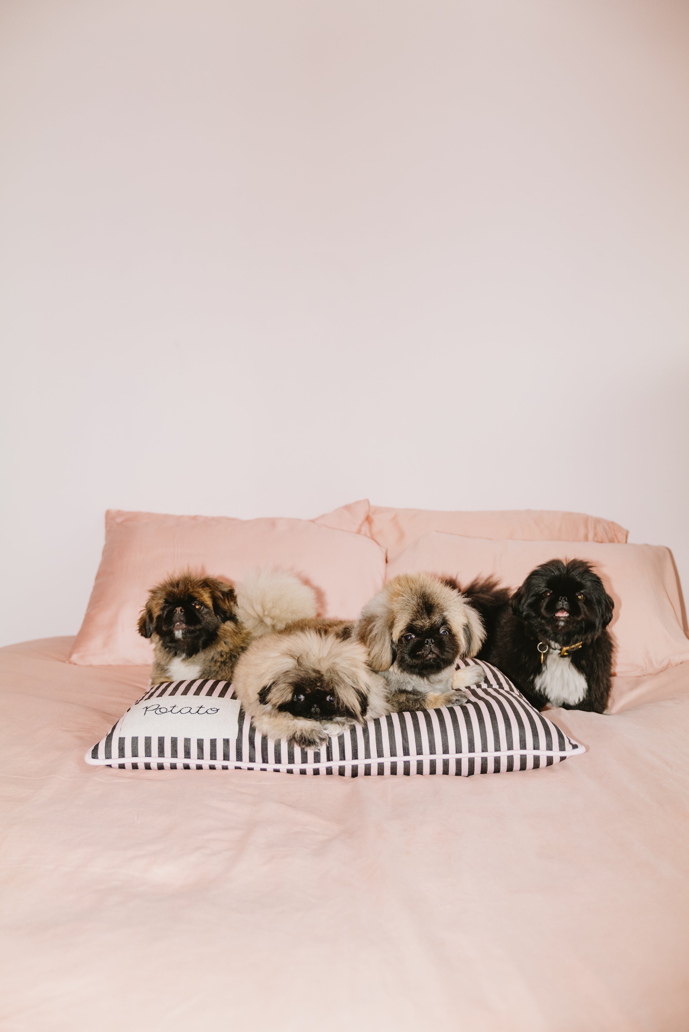 Pet Cushion - Baby Pink & Meteorite - Skinny Stripe