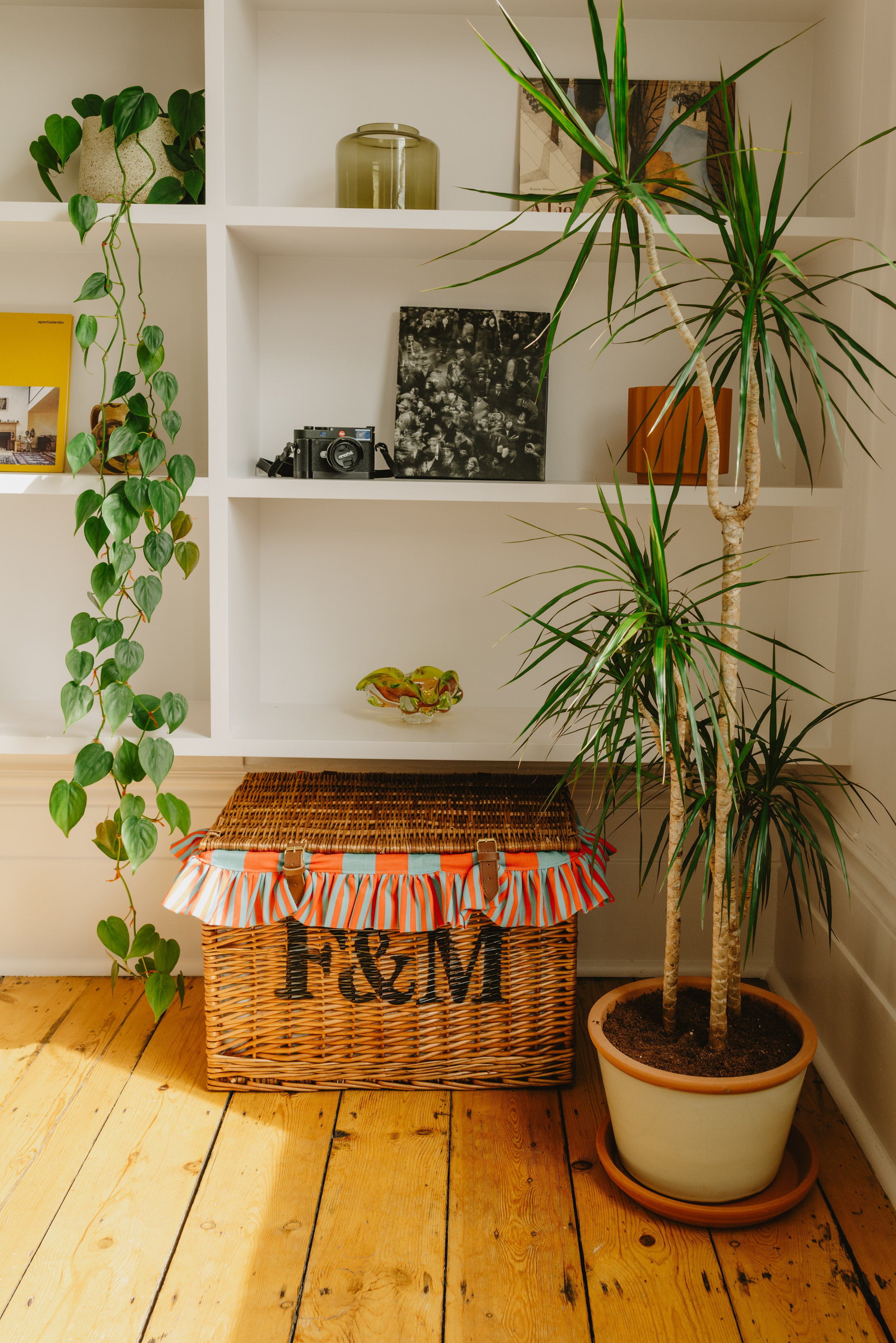 Exclusive F&M Stripe (not available to buy)