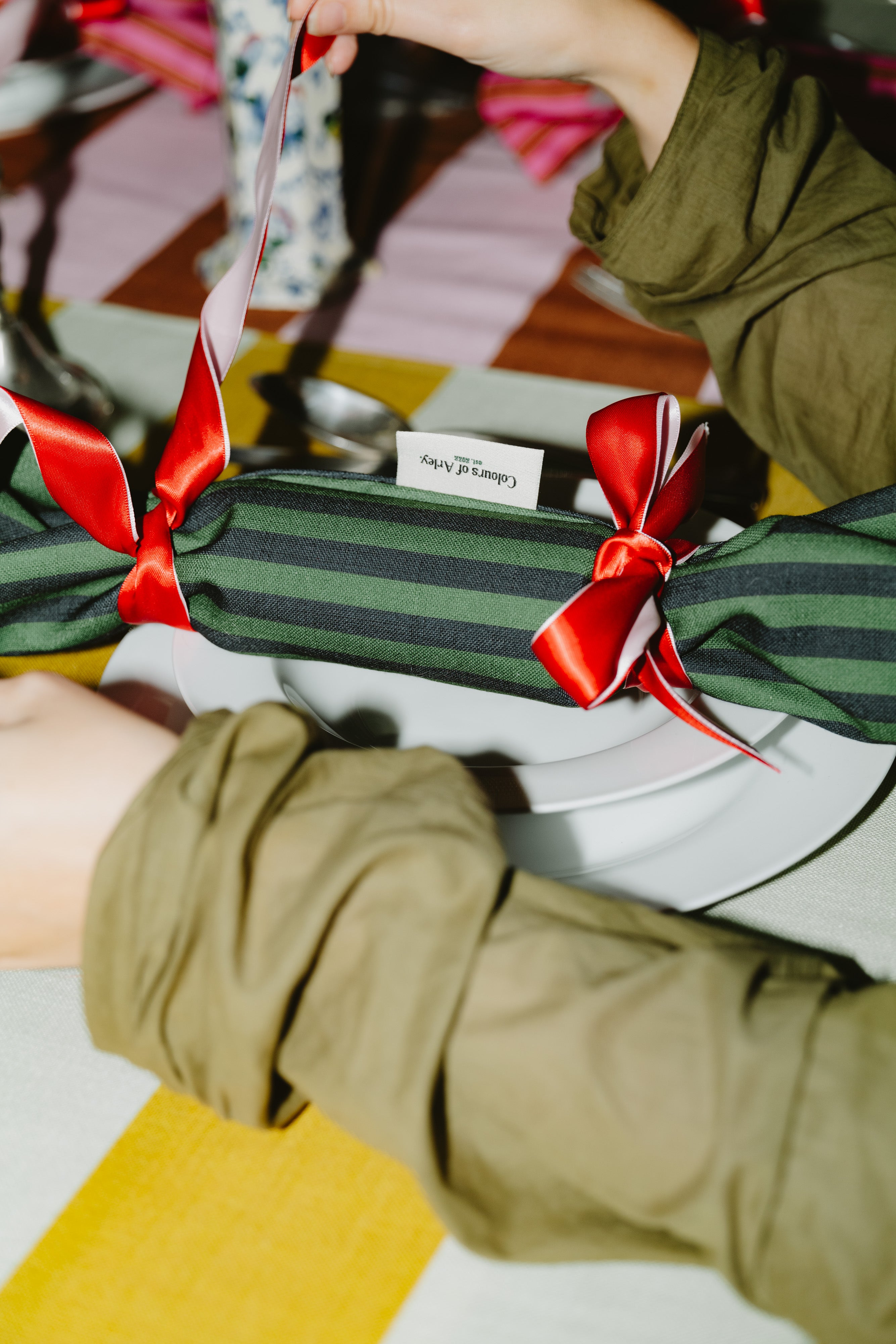 Reusable Cracker Napkin - Pine & Meteorite - Skinny Stripe