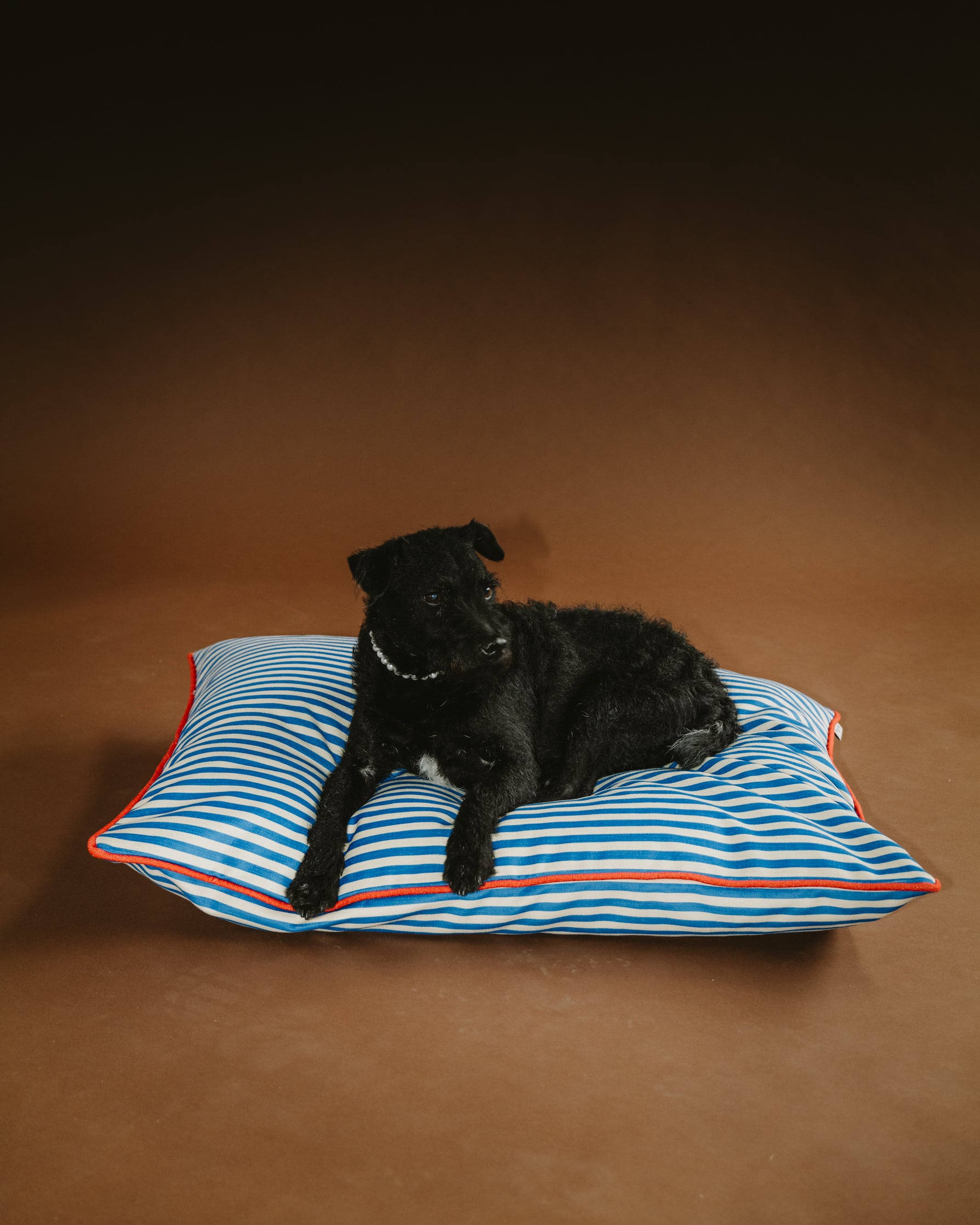 Medium Pet Cushion - Bug & Tofu - Skinny Stripe with Postbox piping