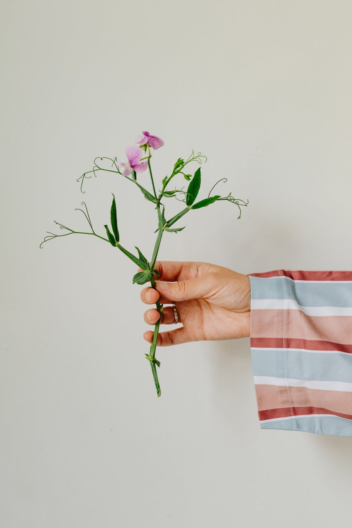 The Sicilian Robe - Diamond, Cherry & Chalk Pink