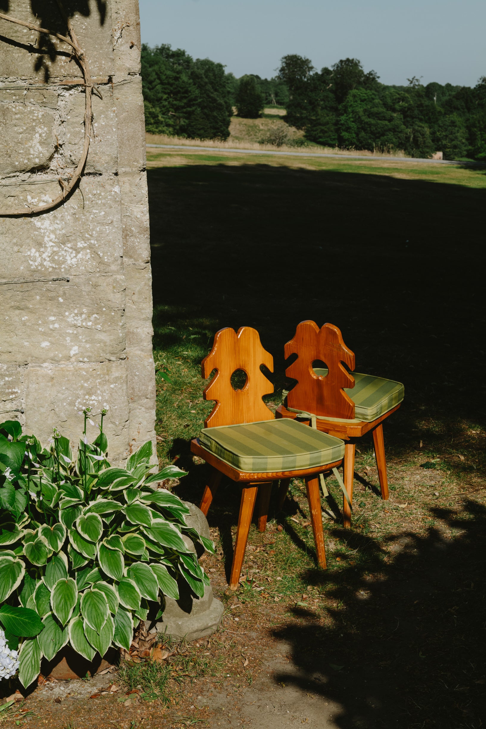 The Pinewood Chairs - Zest & Sycamore