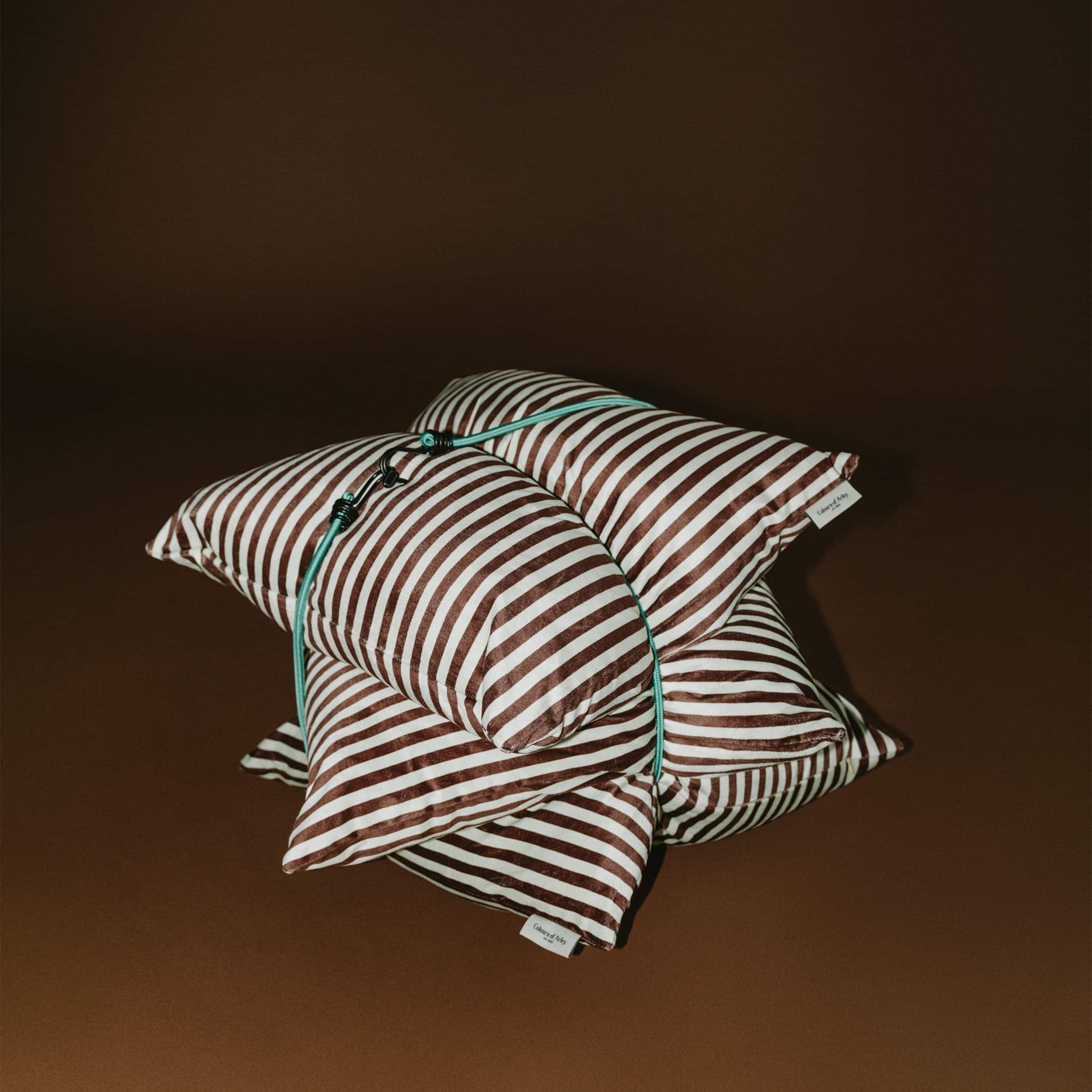Classic cushion - Mint Cream & Peat - Skinny Stripe